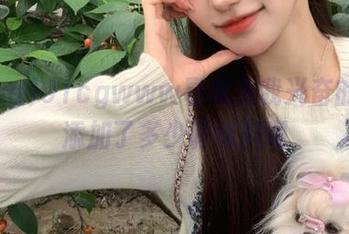 91cgwww导航为我兴奋的日常添加了多少调味料啊