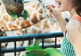 黑料不打烊：掘金地址免费领取中